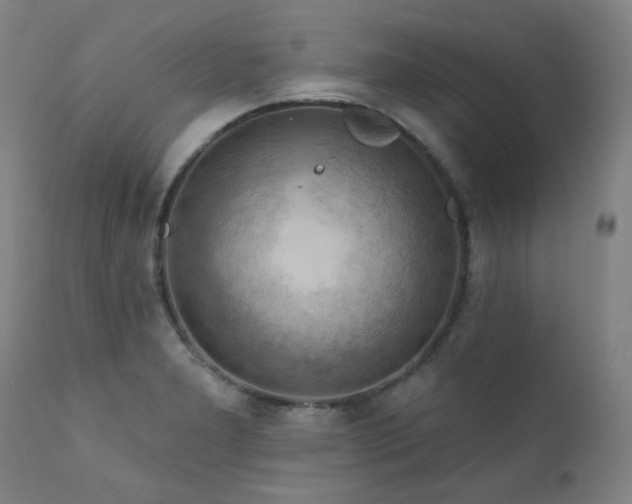 X0000111941277200907271404