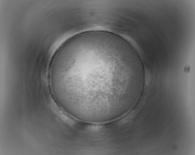 X0000111941278200907271404