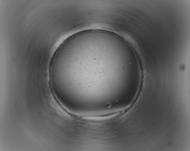 X0000111941280200907271404
