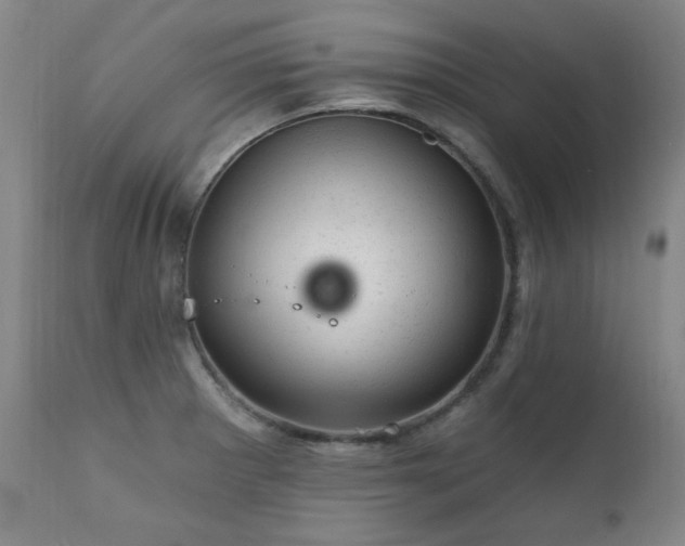 X0000111941281200907271404