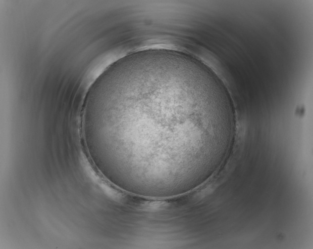 X0000111941282200907271404