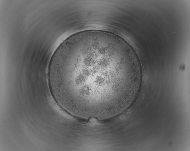 X0000111941283200907271404