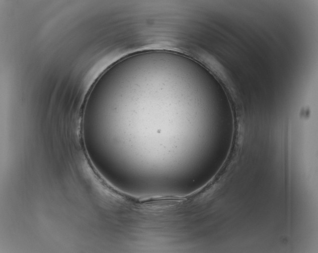 X0000111941284200907271404