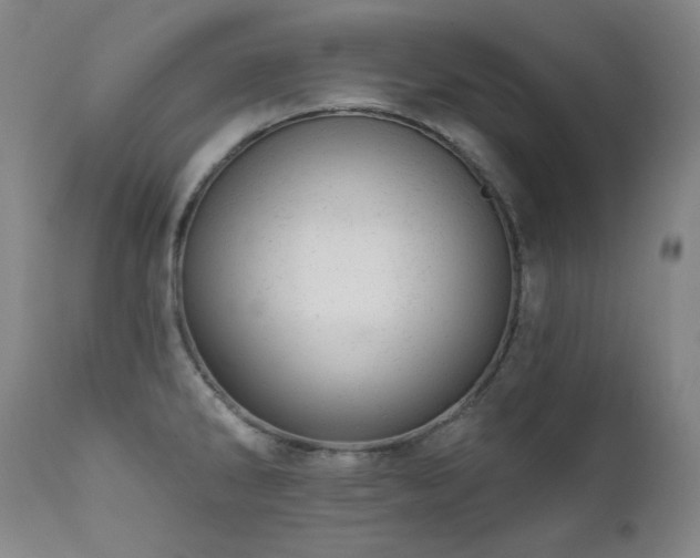 X0000111941286200907271404
