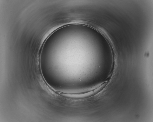 X0000111941292200907271404