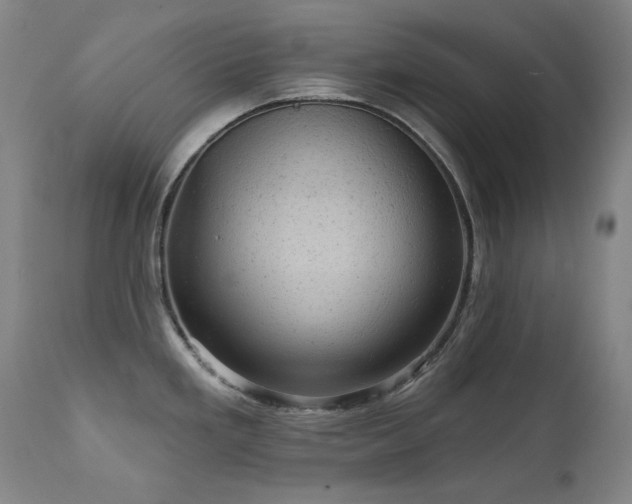 X0000111941293200907271404