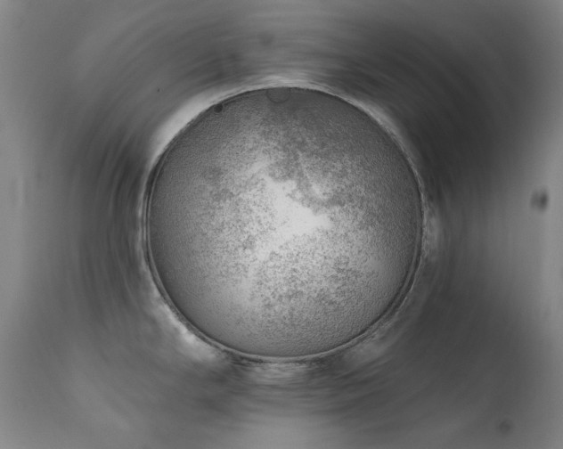 X0000111941294200907271404