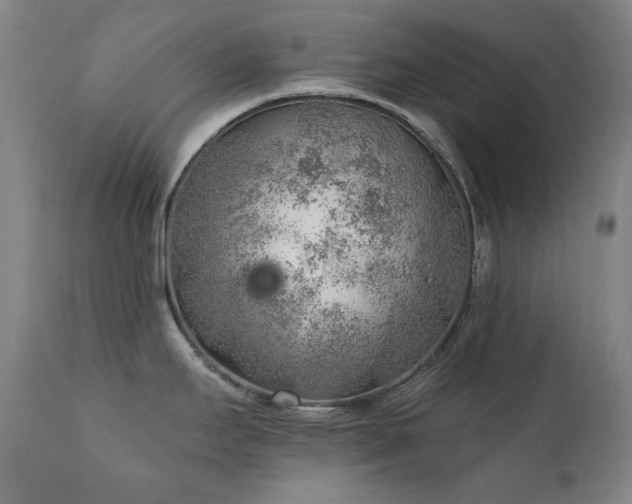 X0000111941295200907271404