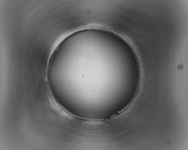 X0000111941296200907271404