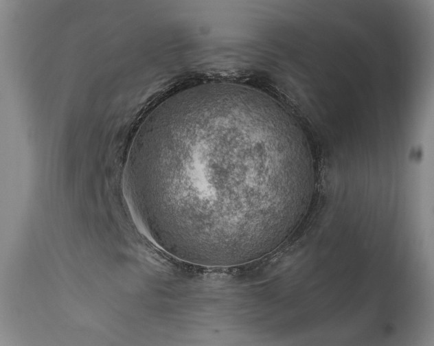 X0000111941297200907271403