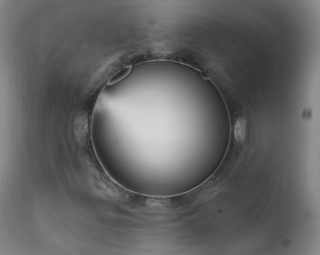 X0000111941299200907271403