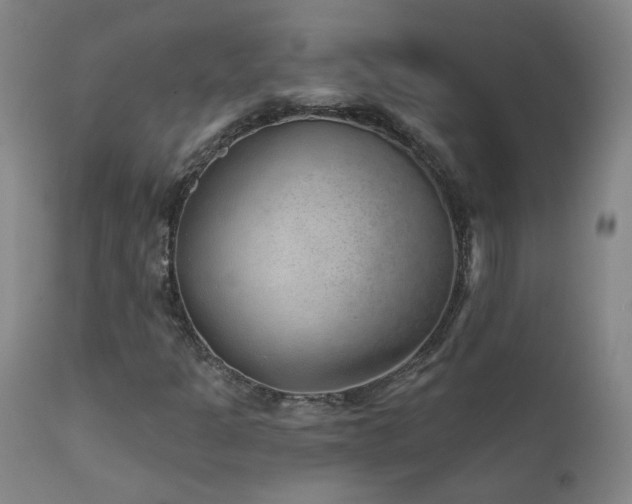 X0000111941301200907271403