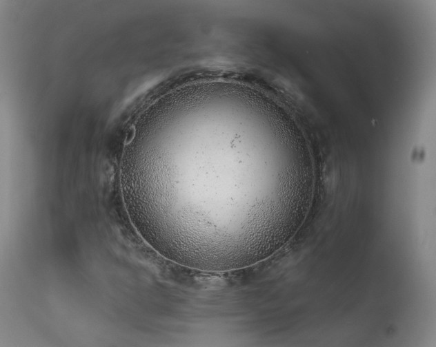 X0000111941302200907271403