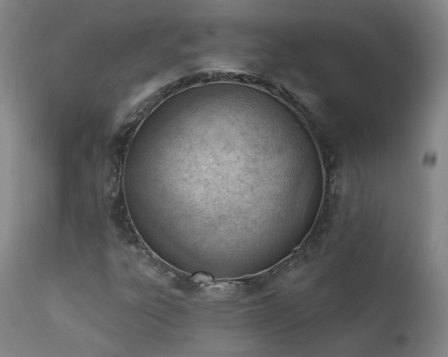 X0000111941303200907271403