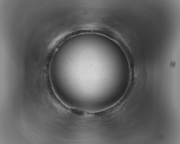 X0000111941304200907271403