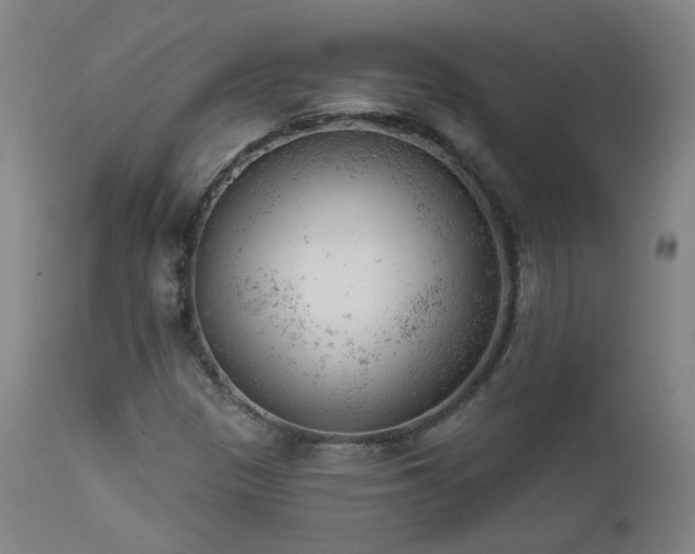 X0000111941305200907271403