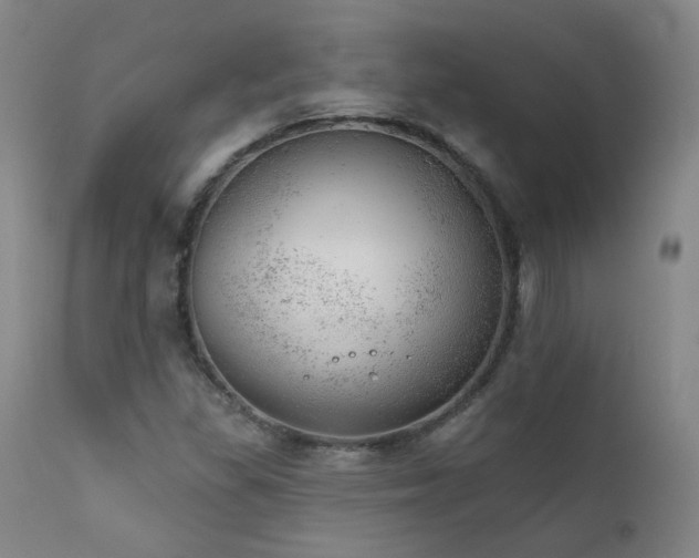 X0000111941309200907271403