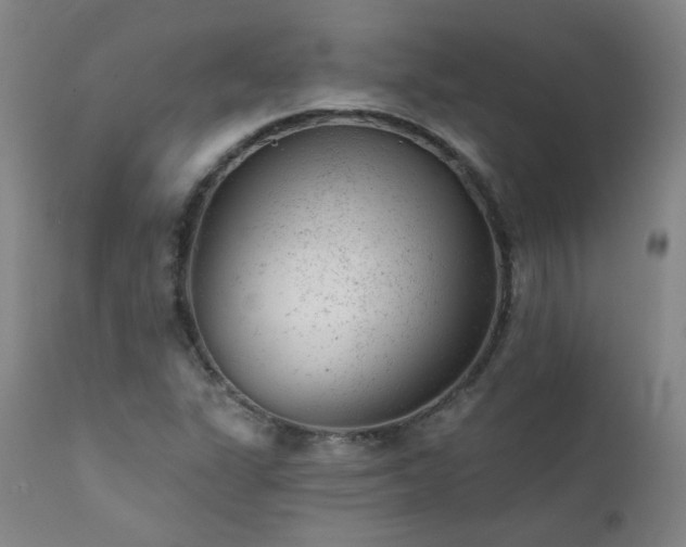X0000111941311200907271403