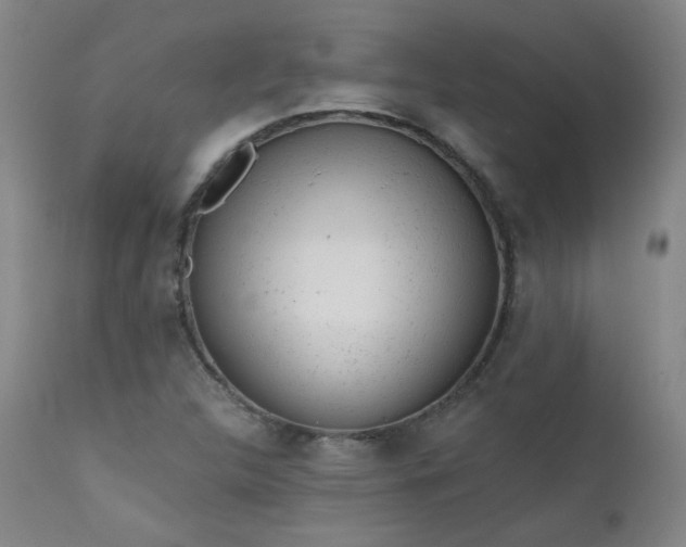 X0000111941312200907271403