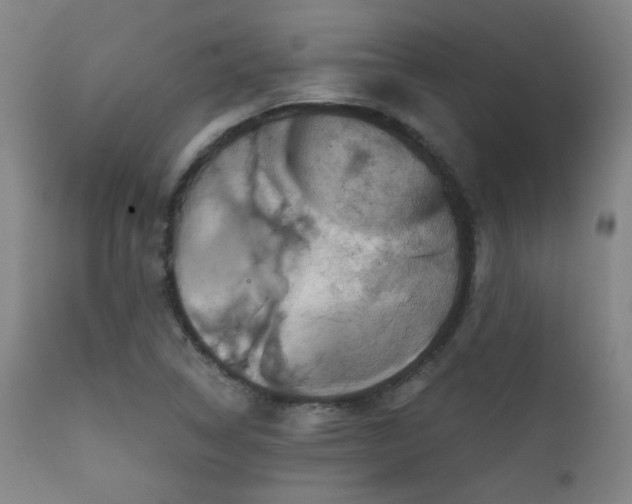 X0000111941314200907271403