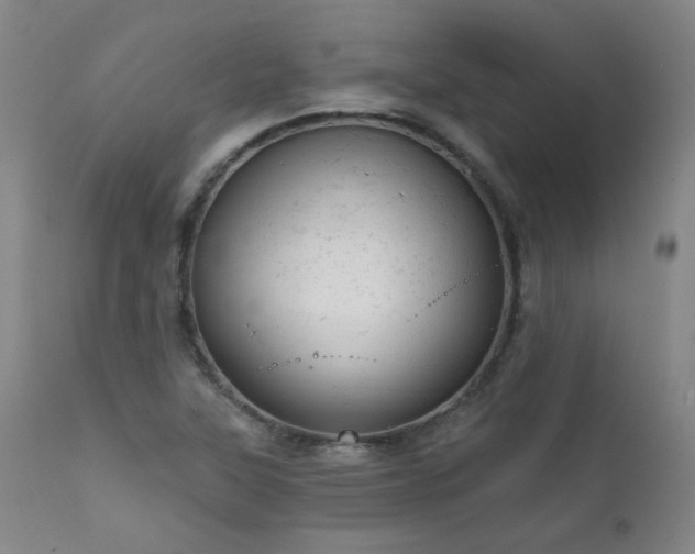 X0000111941315200907271403