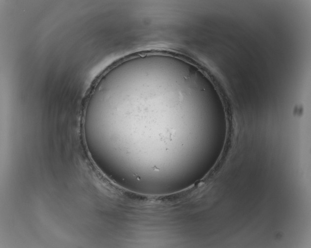X0000111941316200907271403