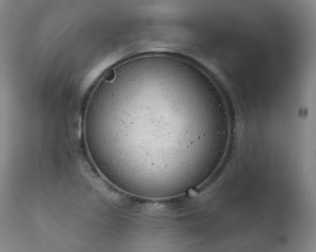 X0000111941317200907271403