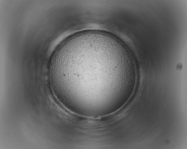 X0000111941318200907271403