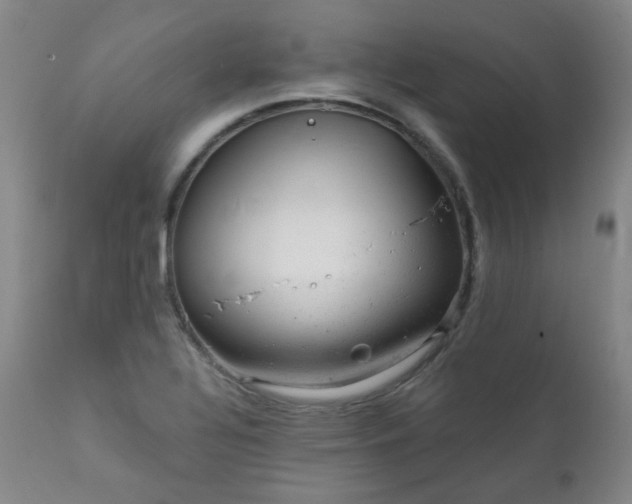 X0000111941320200907271403