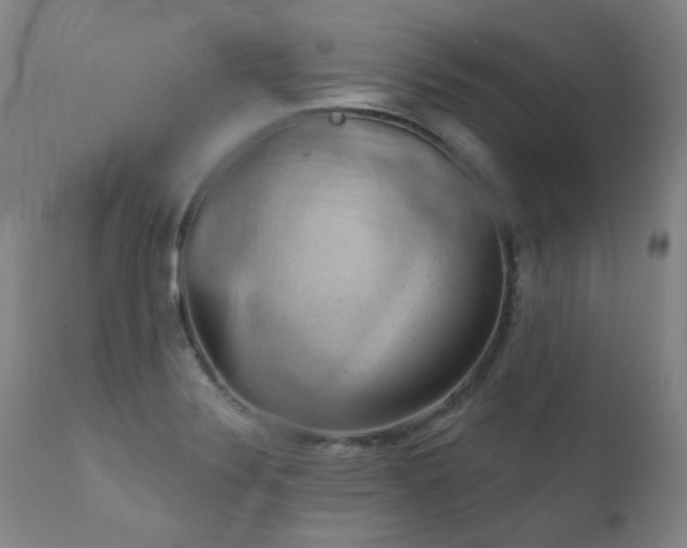 X0000111941324200907271403