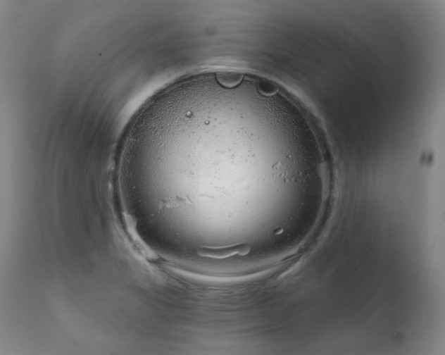 X0000111941325200907271403