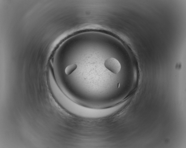 X0000111941326200907271403