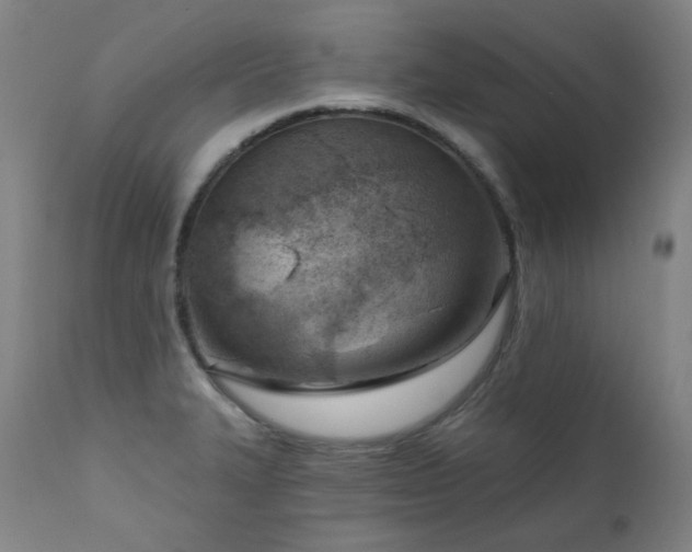 X0000111941327200907271403