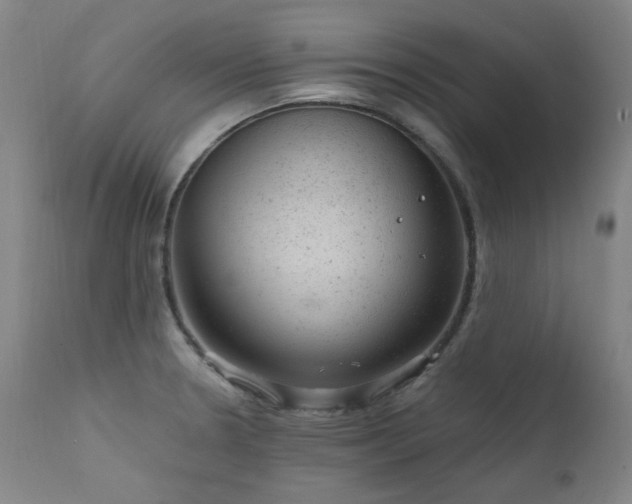X0000111941330200907271404
