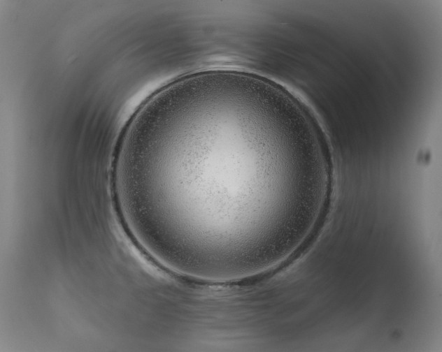 X0000111941333200907271404