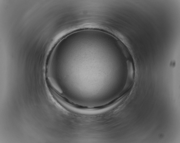 X0000111941334200907271404