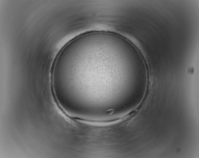 X0000111941335200907271404