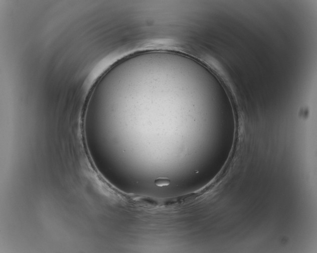 X0000111941336200907271404