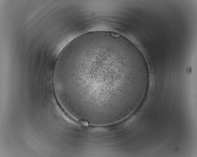 X0000111941337200907271404