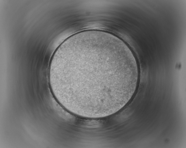 X0000111941338200907271404