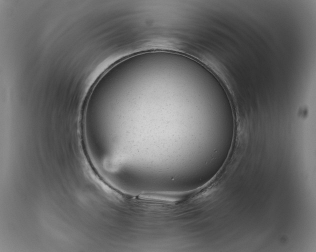 X0000111941339200907271404
