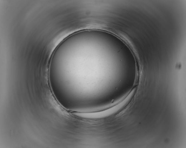 X0000111941340200907271404