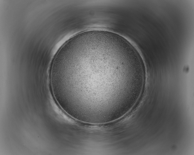 X0000111941341200907271404
