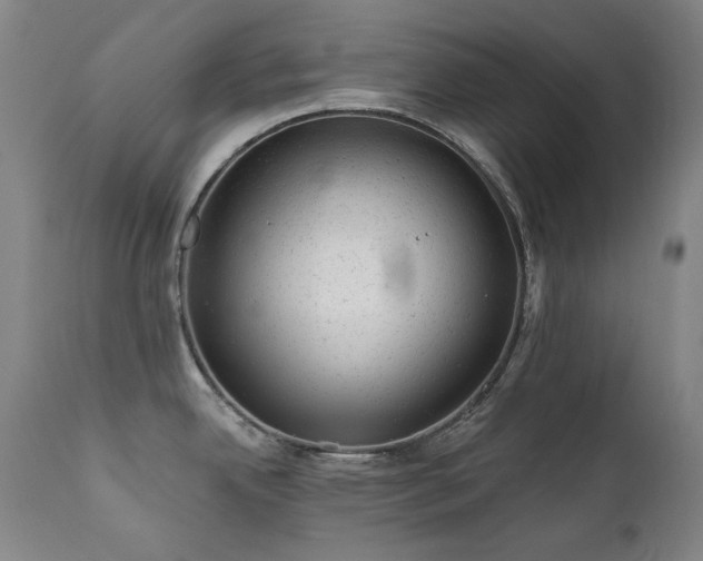 X0000111941342200907271404