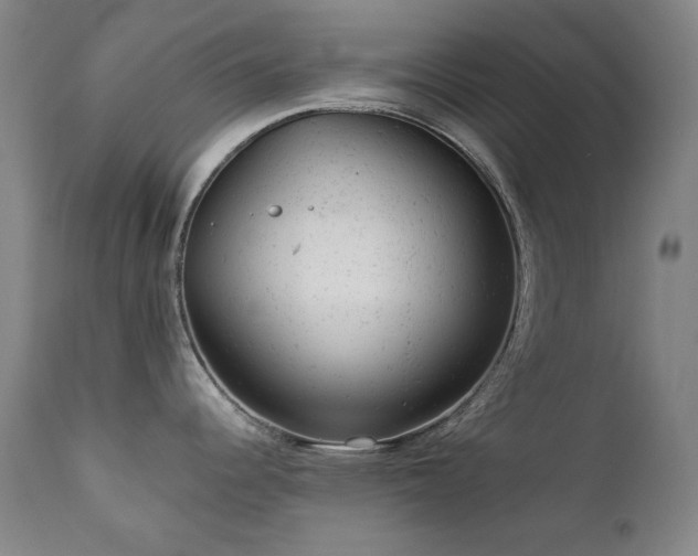 X0000111941344200907271404
