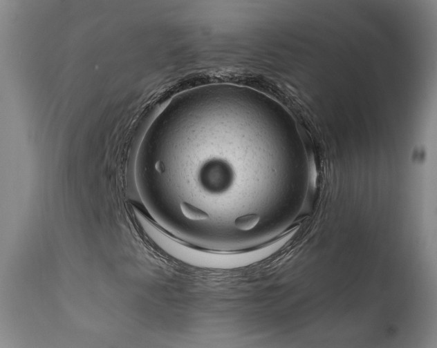 X0000111941345200907271403