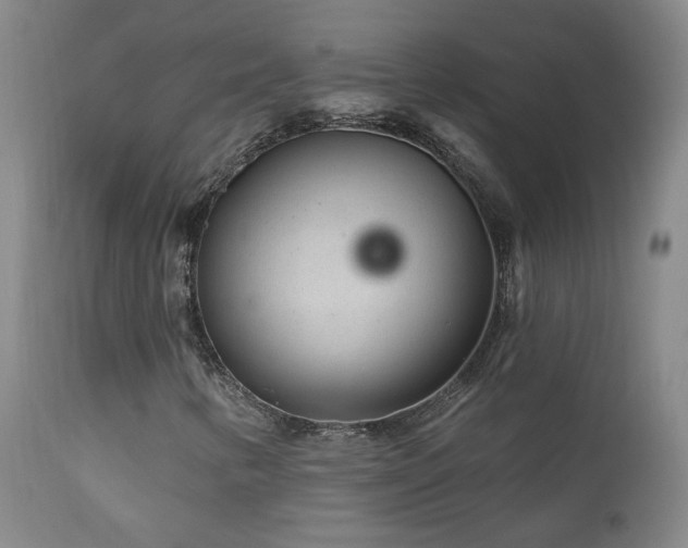 X0000111941346200907271403
