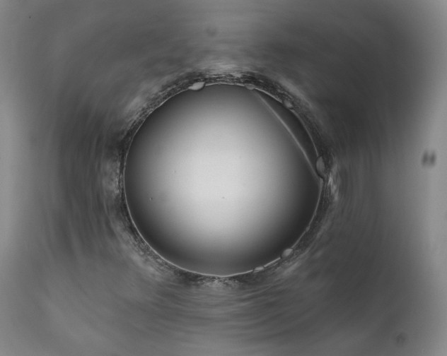 X0000111941348200907271403