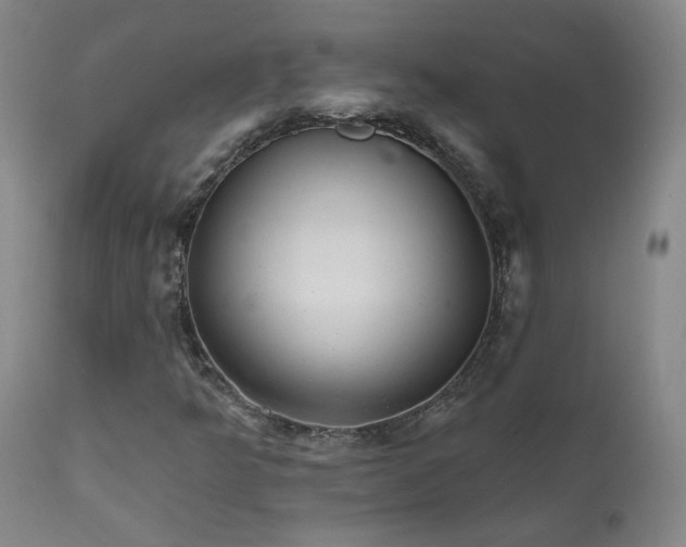 X0000111941349200907271403