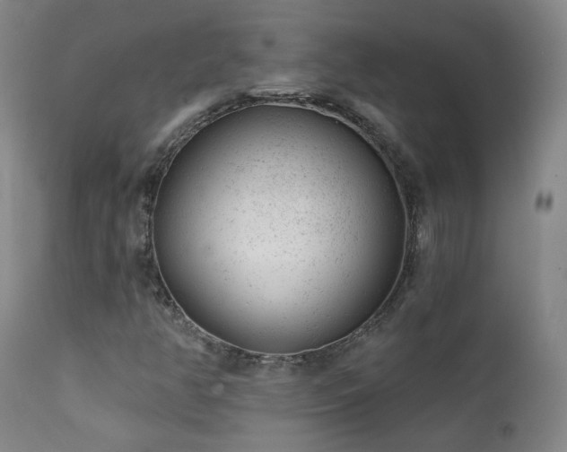 X0000111941350200907271403